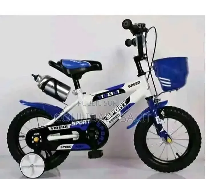 Vélo Électrique