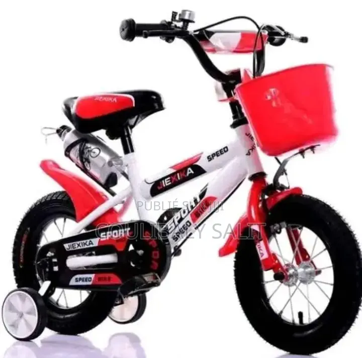 Vélo Électrique