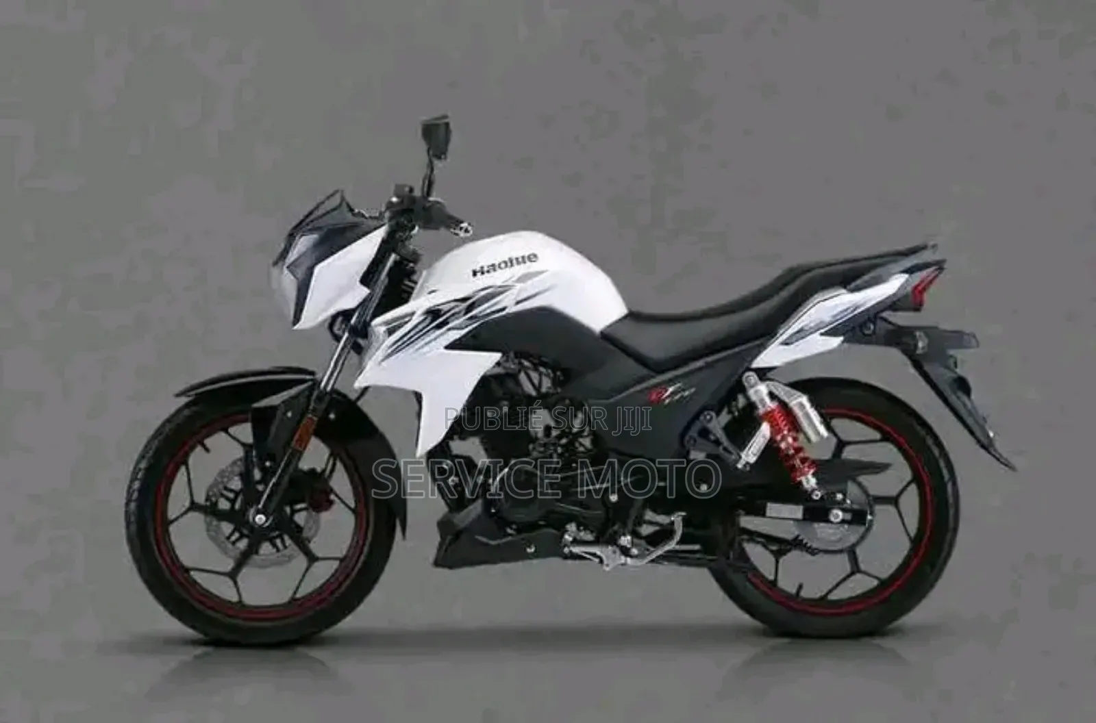 Nouveau Haojue DR300 2024 Autre