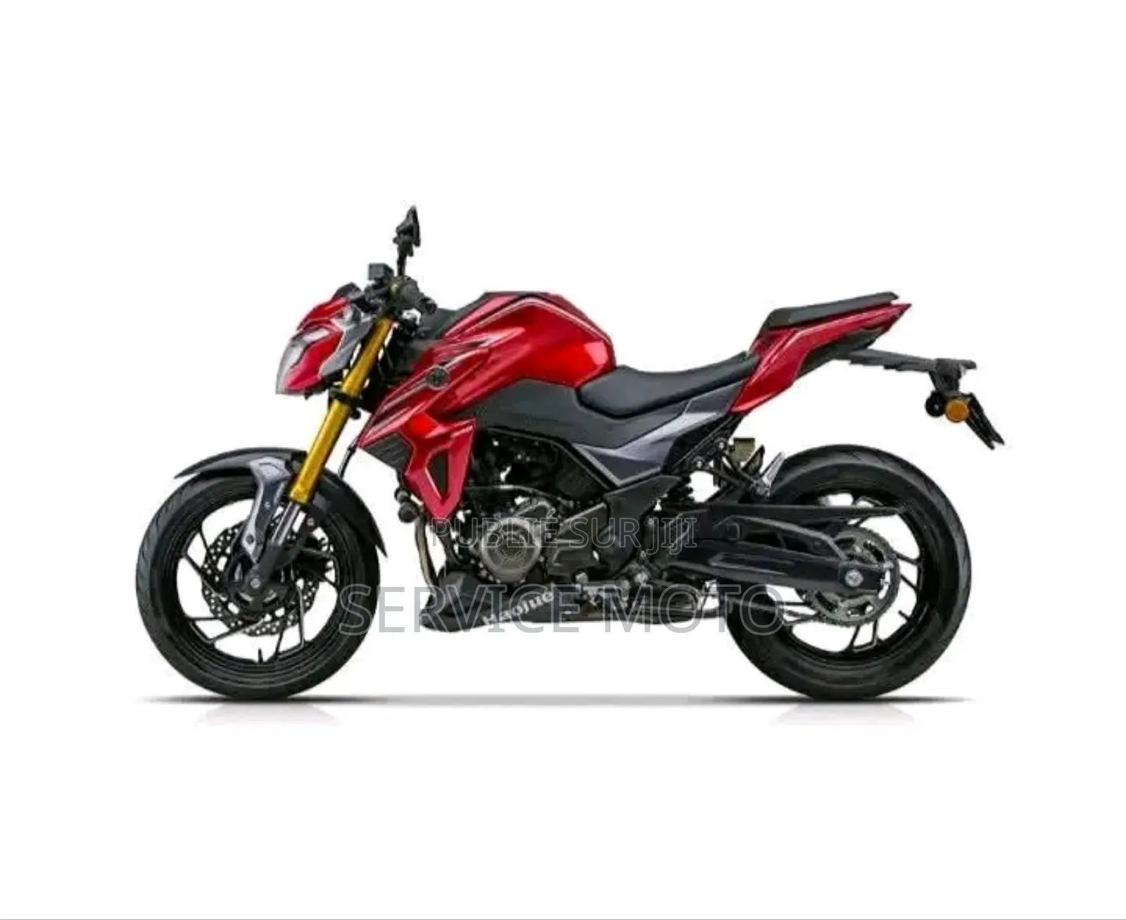 Nouveau Haojue DR300 2024 Autre