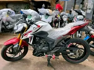Nouveau Haojue DR300 2024 Autre