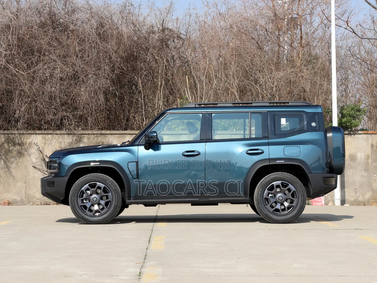 Jetour T2 2024 Bleu