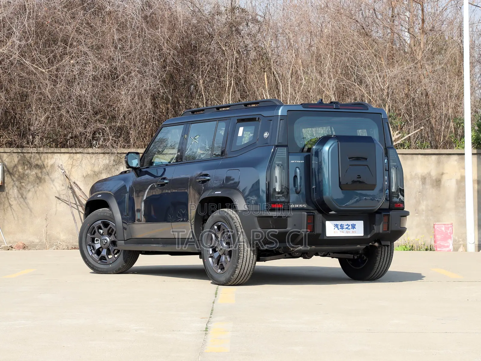 Jetour T2 2024 Bleu