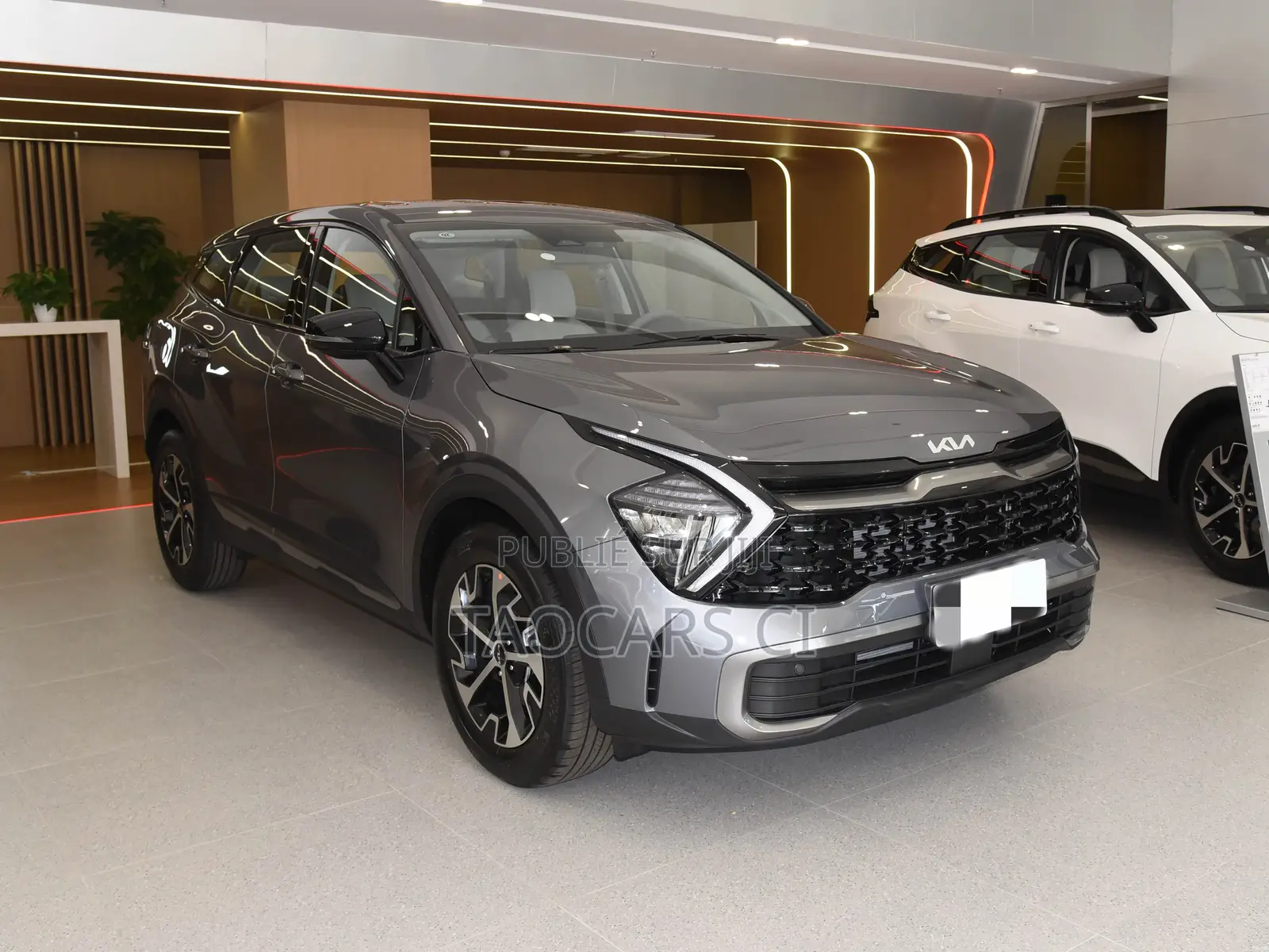 Nouveau Kia Sportage 2025 Gris