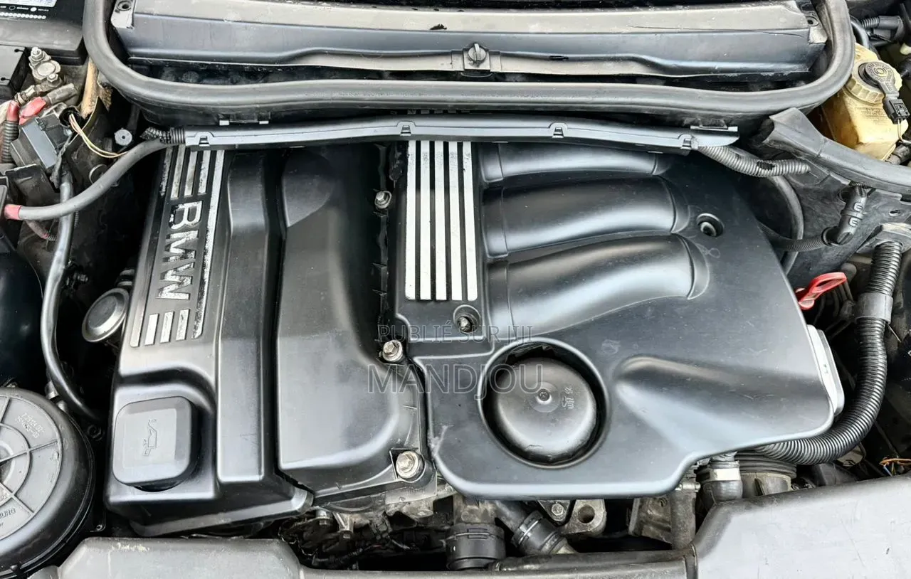 BMW 318i 2003 Noir Mat