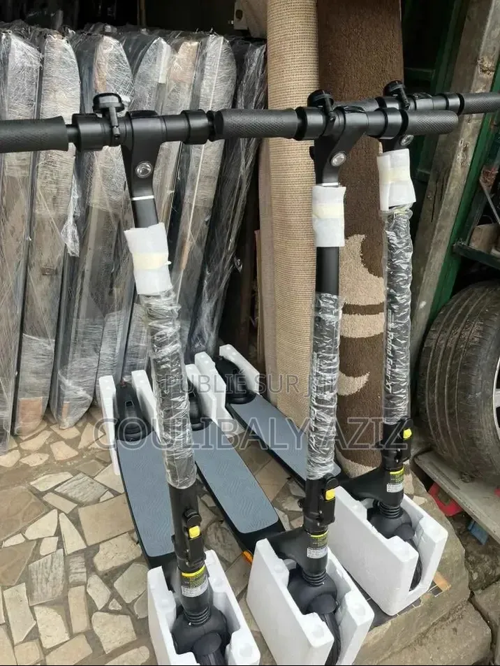 Trottinette Électrique