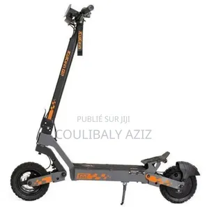 Trottinette Électrique