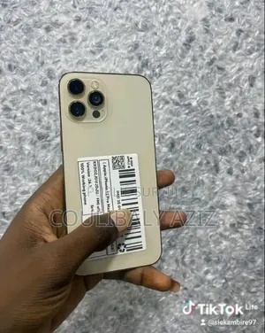 Nouveau Apple iPhone 13 Pro Max 512 GB Autre