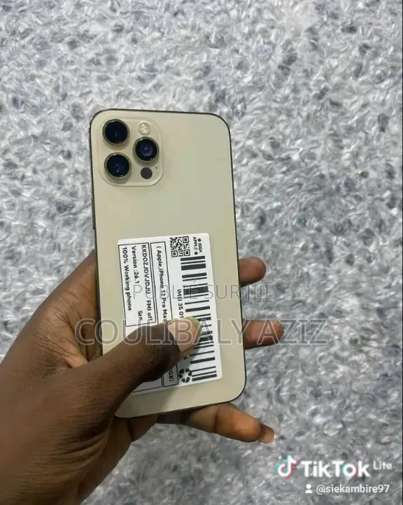Nouveau Apple iPhone 13 Pro Max 512 GB Autre