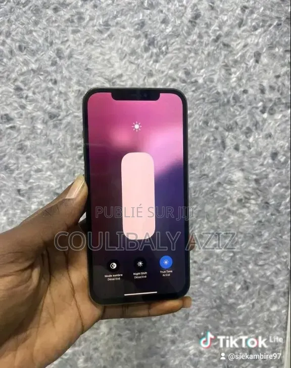Nouveau Apple iPhone 13 Pro Max 512 GB Autre