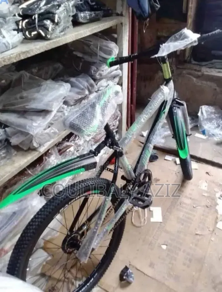 Vélo Électrique