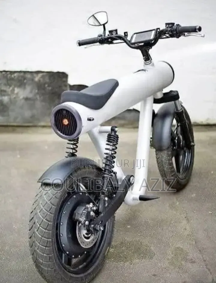 Vélo Électrique