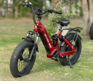 Vélo Électrique