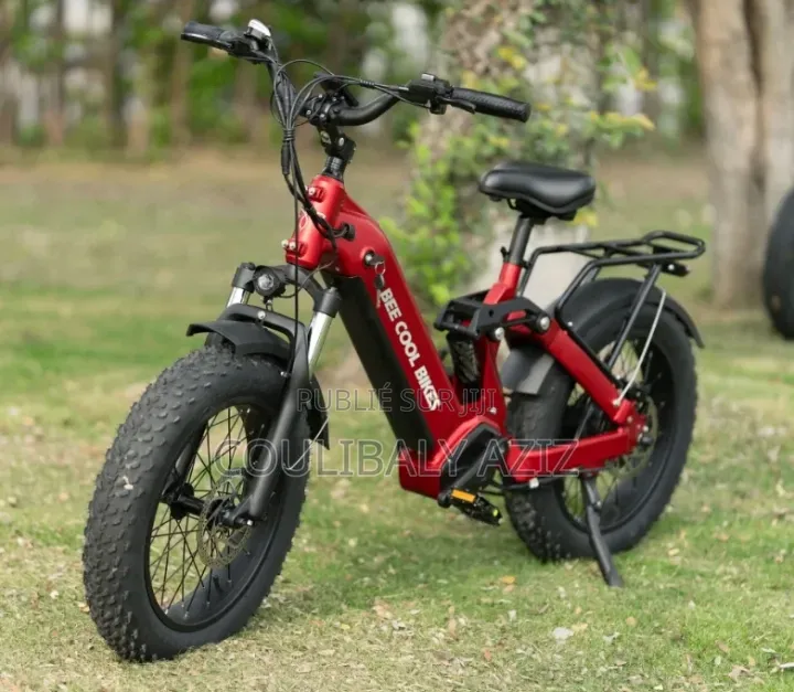 Vélo Électrique