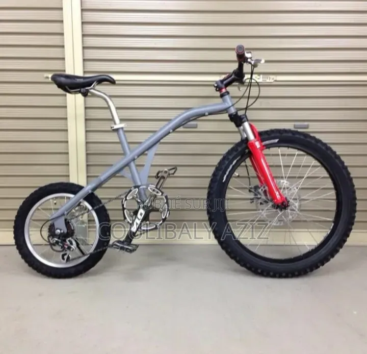 Vélo Électrique