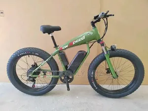 Vélo Électrique