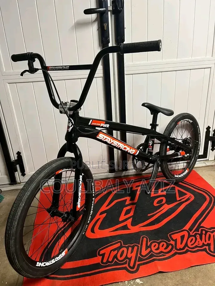 Vélo Électrique