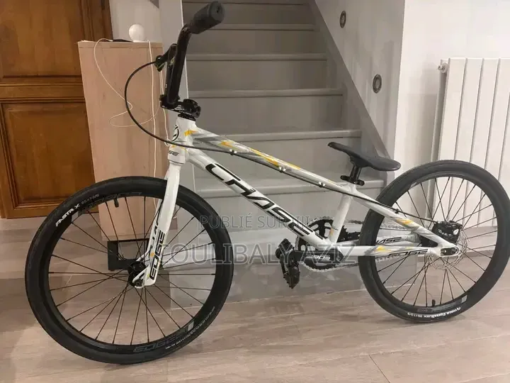 Vélo Électrique