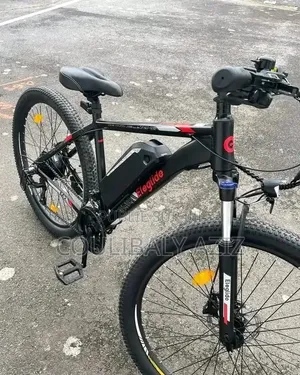 Vélo Électrique