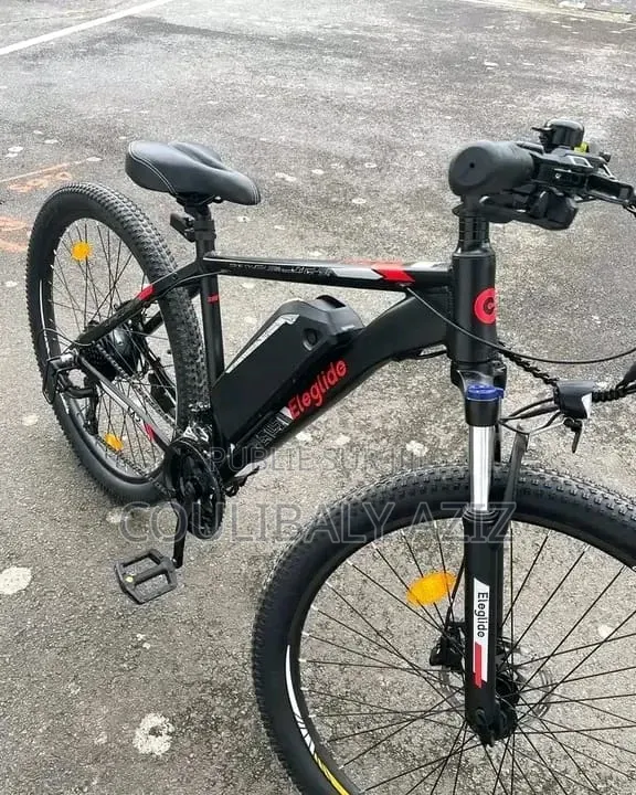 Vélo Électrique