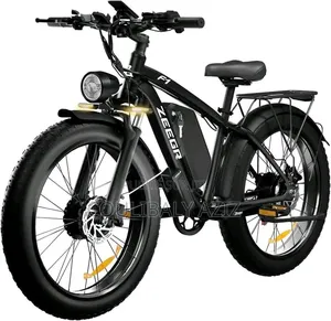 Vélo Électrique