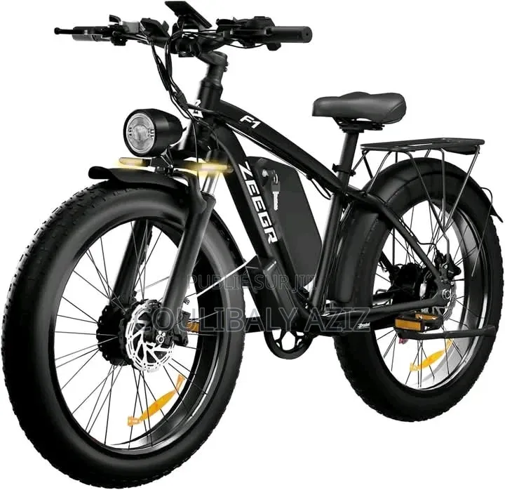 Vélo Électrique