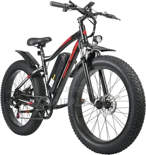 Vélo Électrique