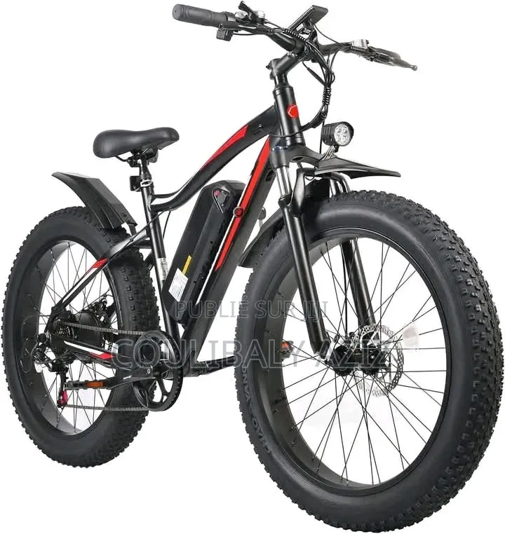 Vélo Électrique