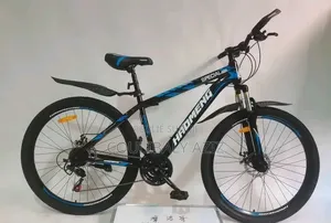 Vélo Électrique