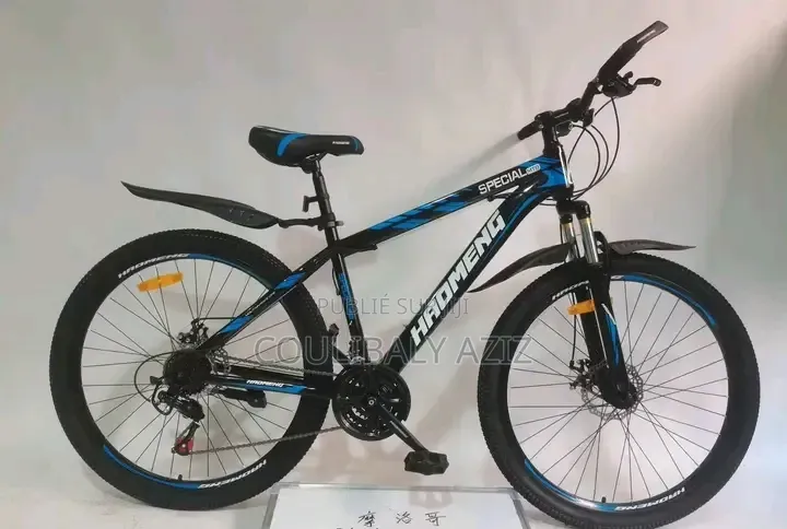 Vélo Électrique