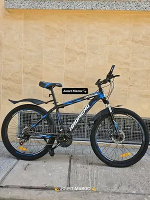 Vélo Électrique