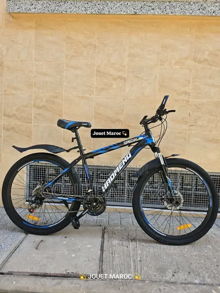 Vélo Électrique