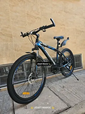Vélo Électrique