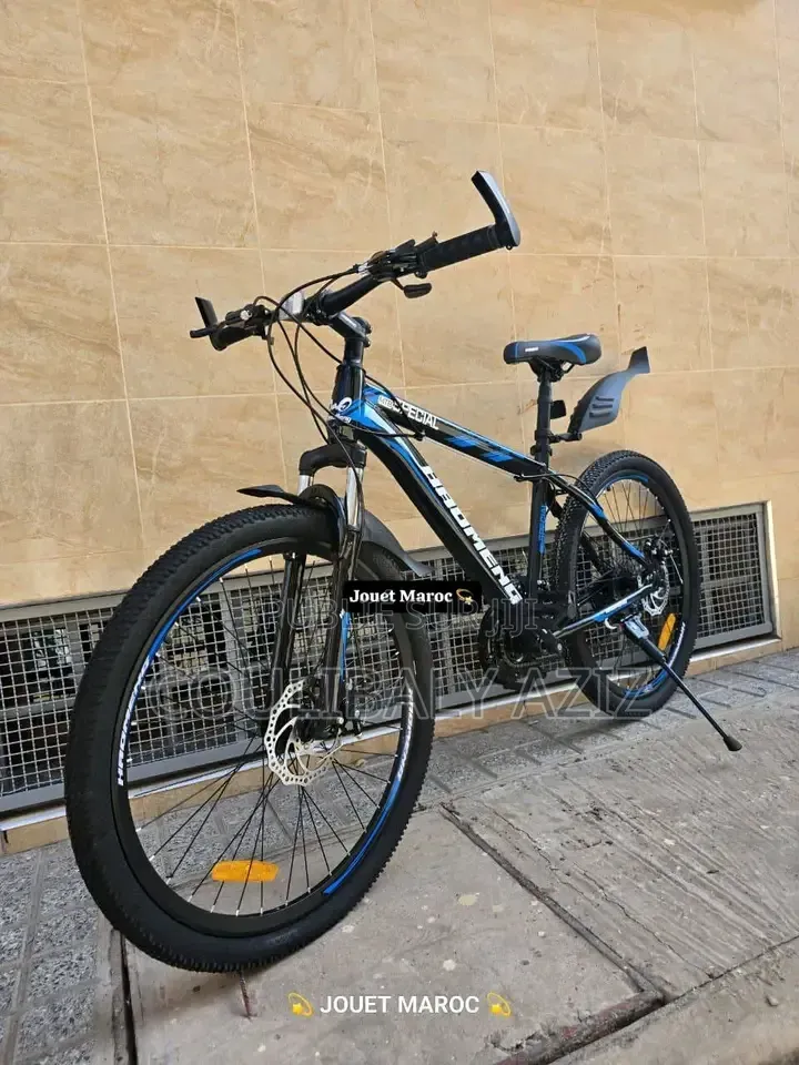 Vélo Électrique