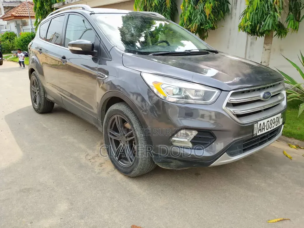 Ford Escape 2019 Gris