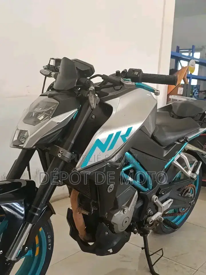 Nouveau CFMoto 300NK 2025 Gris