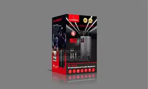 Haut Parleur Bluetooth/Usb/Sd/Fm - 60w - 2 Micros