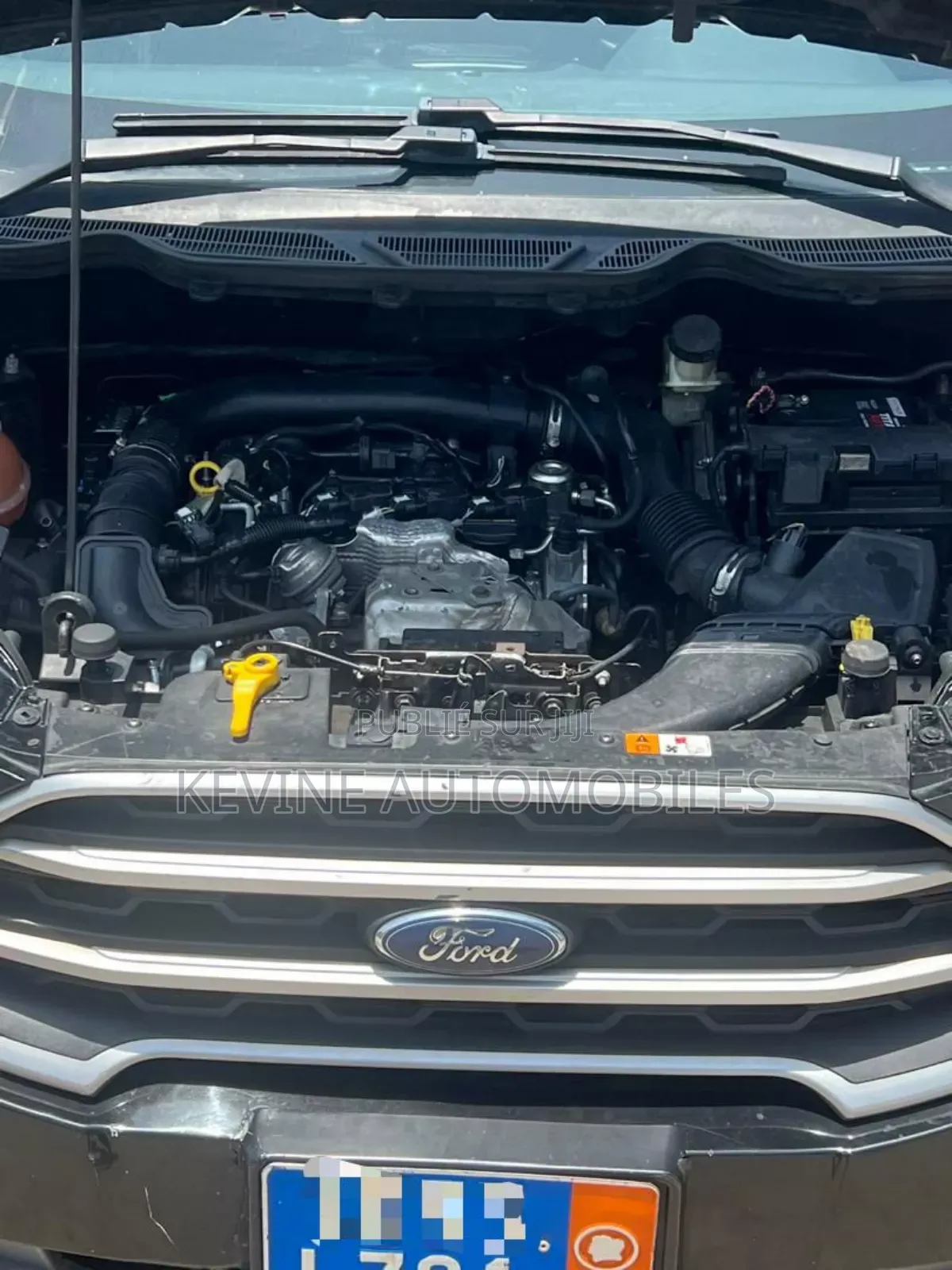 Ford Ecosport 2020 Autre