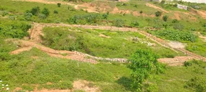 Terrain en Vente