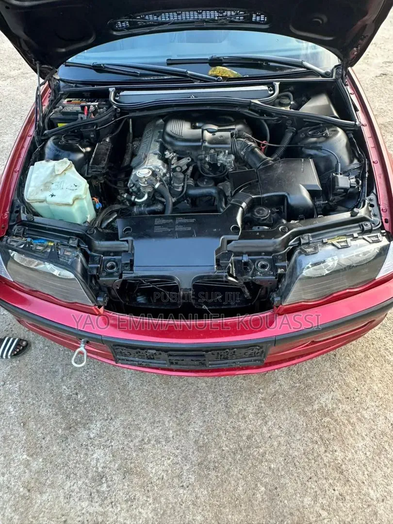 BMW 318i 2011 Bordeaux