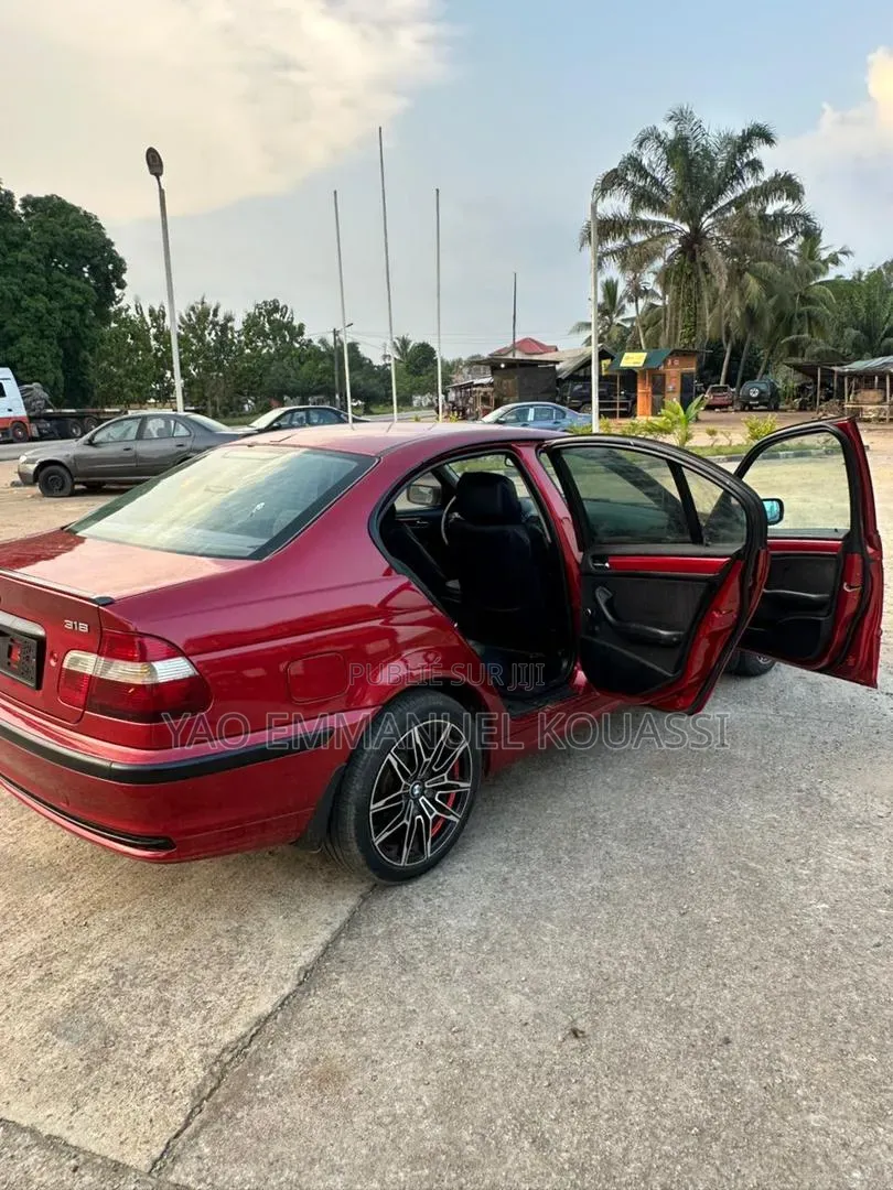 BMW 318i 2011 Bordeaux