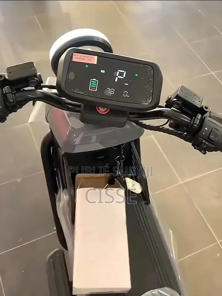 Nouveau Yadea E8S Pro 2025 Gris