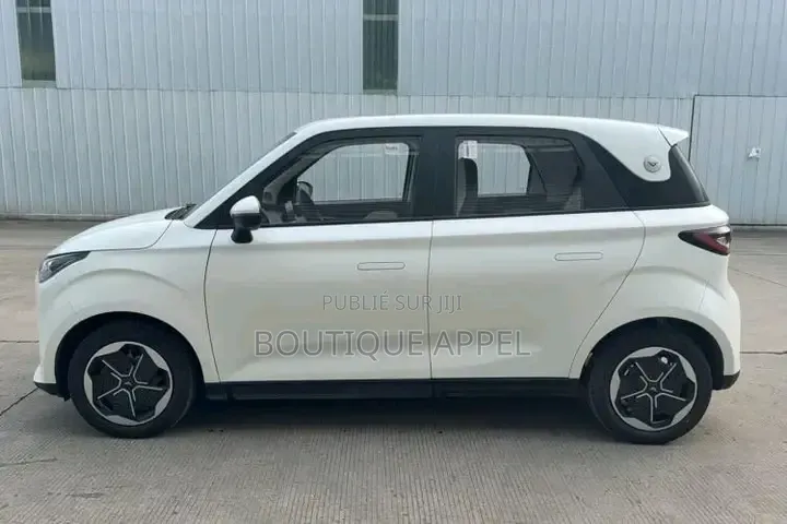 Voiture Électrique Enfants