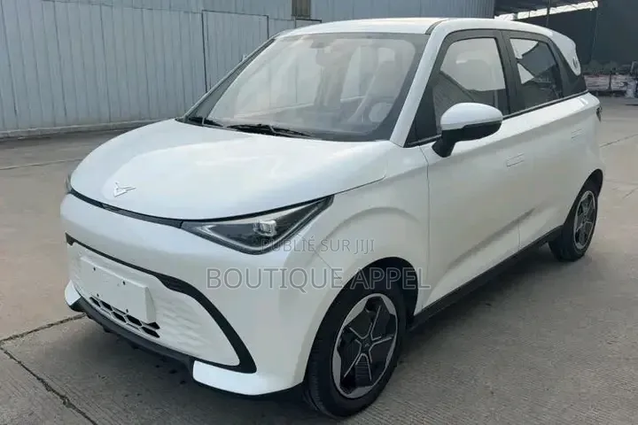 Voiture Électrique Enfants
