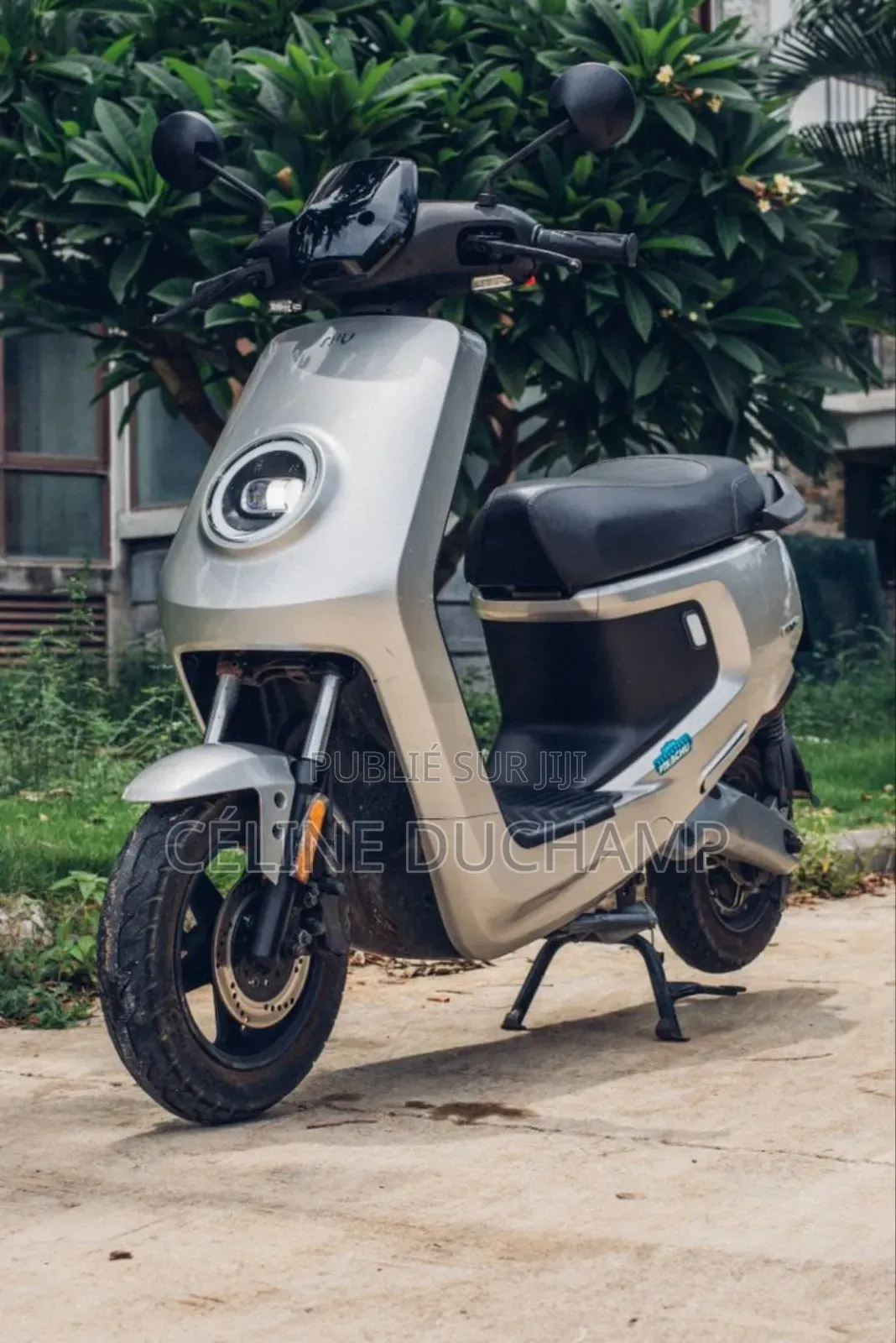 Nouveau Boss Hoss Standard 2024 Gris