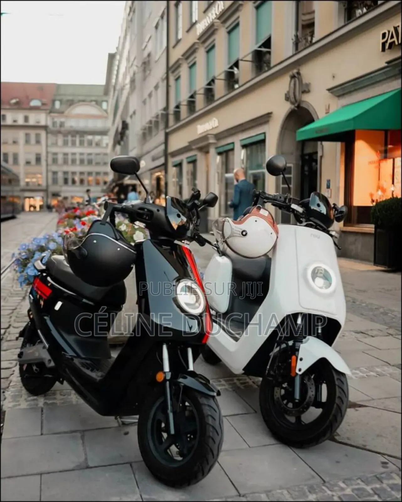 Nouveau Boss Hoss Standard 2024 Gris