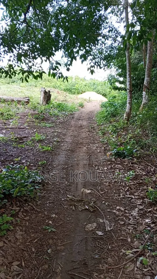 Terrain 600m2 Avec Acd en Vente À Grand Lahou