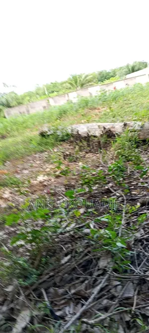 Terrain 600m2 Avec Acd en Vente À Grand Lahou