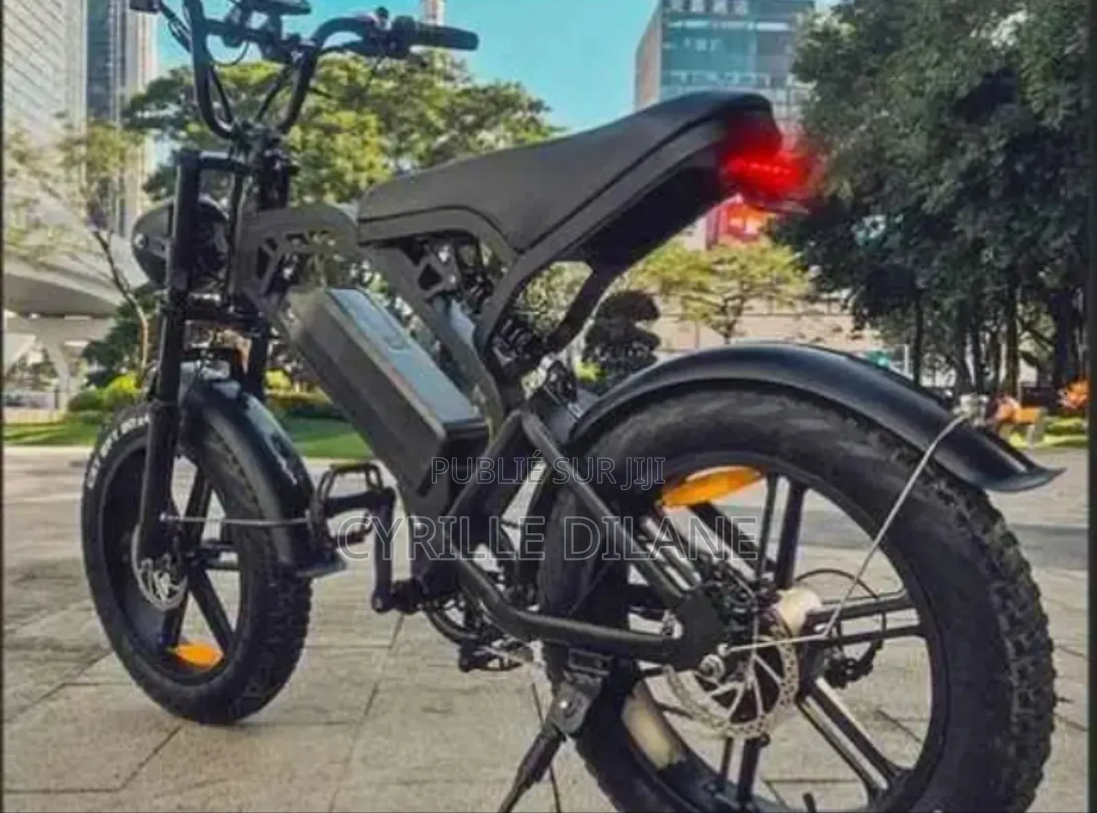 Vélo Électrique