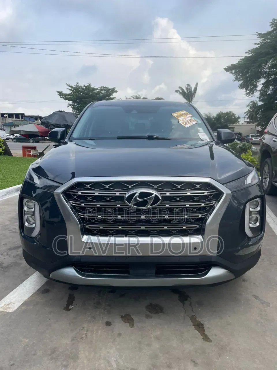 Hyundai Palissade 2020 Gris